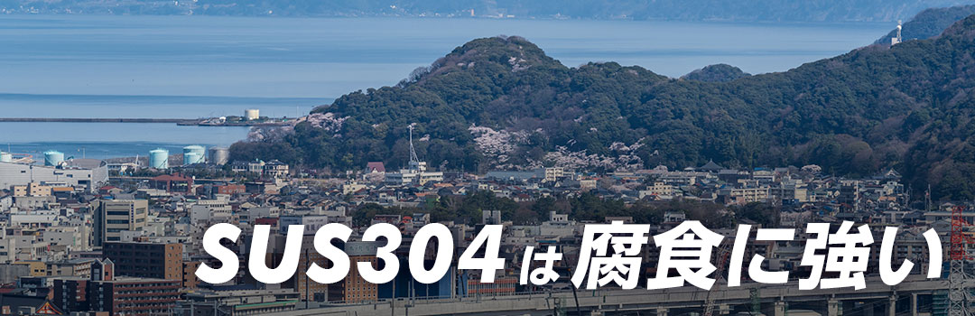 SUS304